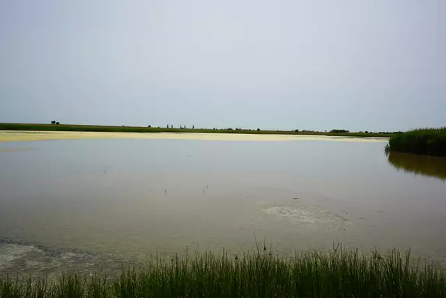 Foto: Andrea Glatzer