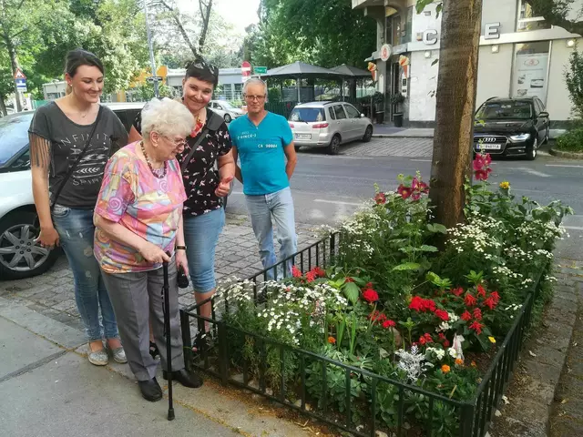 Beim Begrünungsspaziergang "Garteln ums Eck" entdecken Teilnehmende Baumscheibengärten und lernen die Menschen dahinter persönlich kennen.  | Foto: GB*