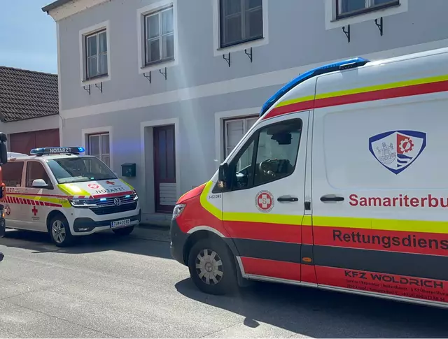 Am 6. Juni kam es zu einem Rettungseinsatz in Ornding. | Foto: DOKU-NÖ