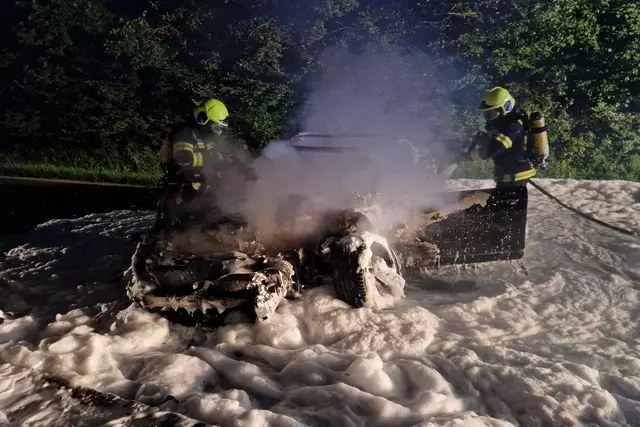 29 Mitglieder der Feuerwehr Güssing standen im Einsatz. | Foto: Stadtfeuerwehr Güssing