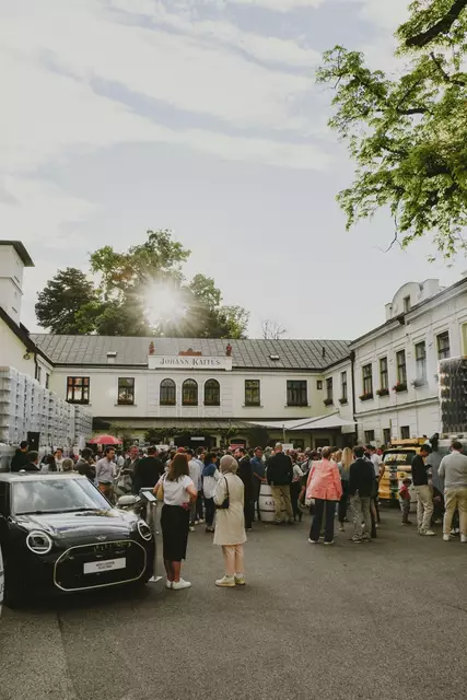 Foto: KATTUS