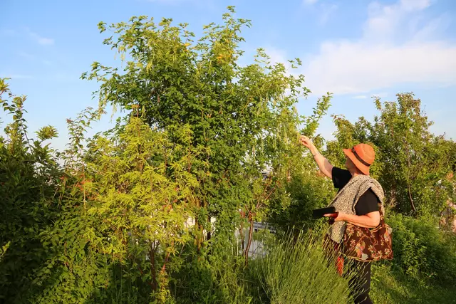 Foto: Stadt Wien / Judith Rosenkranz