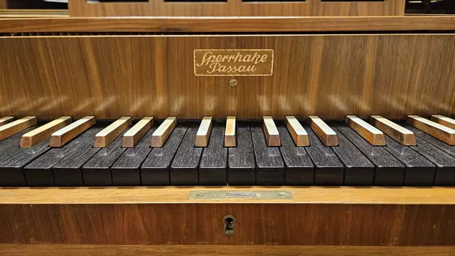 Foto: Patricia Hillinger/MeinBezirk