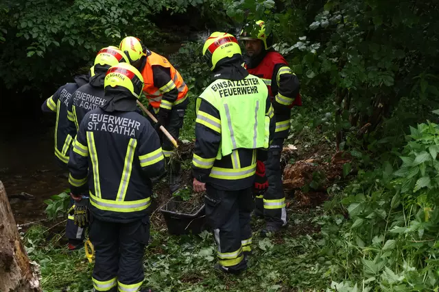 Foto: laumat.at/Matthias Lauber