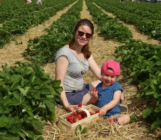 Julia mit Tochter Flora bei der Erdbeerernte. | Foto: Herbert Schöttl