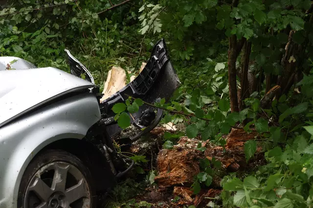 Foto: laumat.at/Matthias Lauber