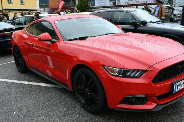 Foto: Wilfried Fischer