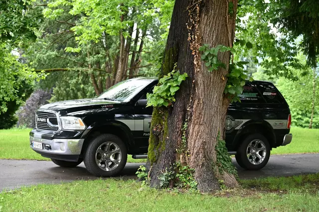 Foto: Wilfried Fischer