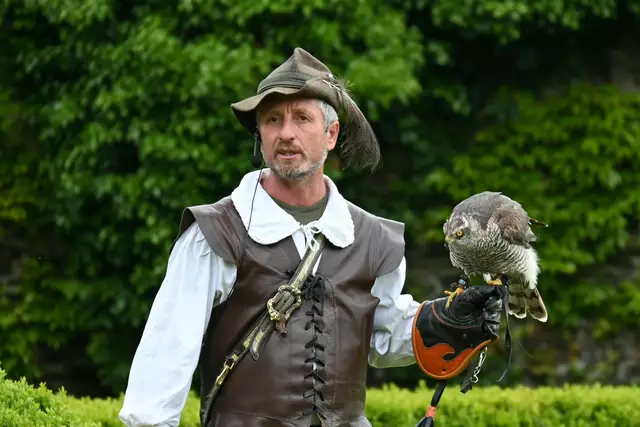 Der erste Vogel ist ein Habicht