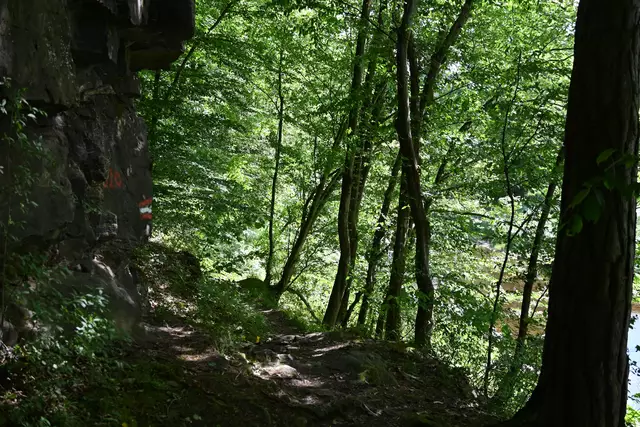 Ich bin wieder am gleichen Weg zurück