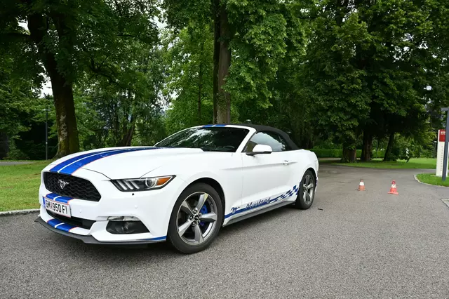 Foto: Wilfried Fischer