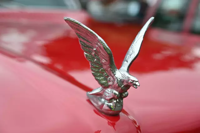 Foto: Wilfried Fischer