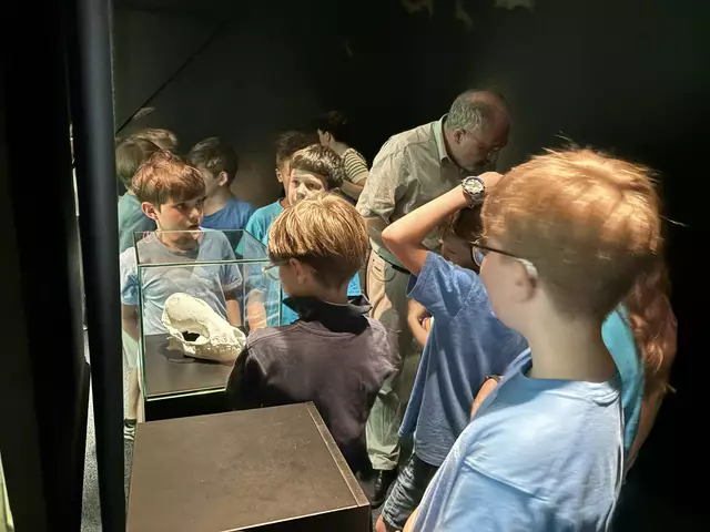 Foto: Caroline Fegerl