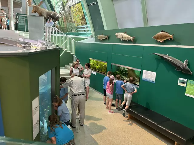 Foto: Caroline Fegerl