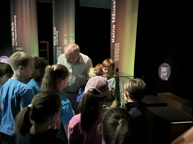 Foto: Caroline Fegerl