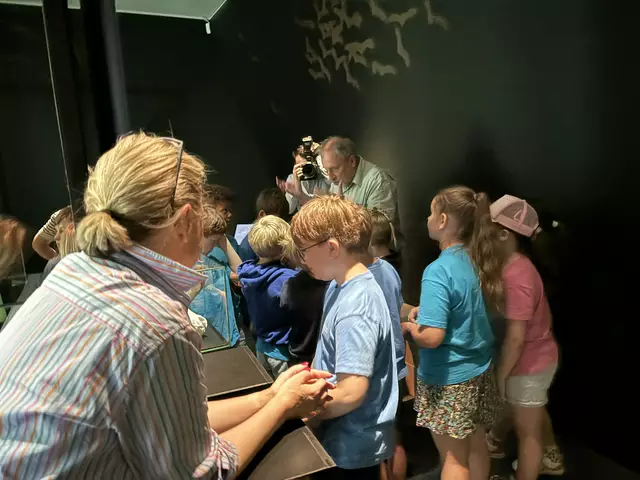 Foto: Caroline Fegerl