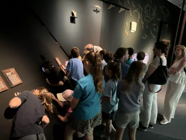 Foto: Caroline Fegerl