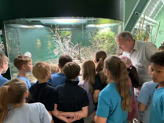 Foto: Caroline Fegerl