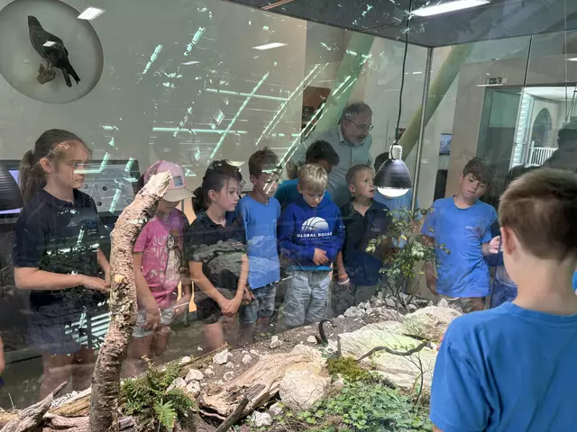 Foto: Caroline Fegerl