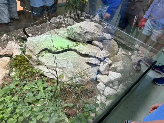 Foto: Caroline Fegerl