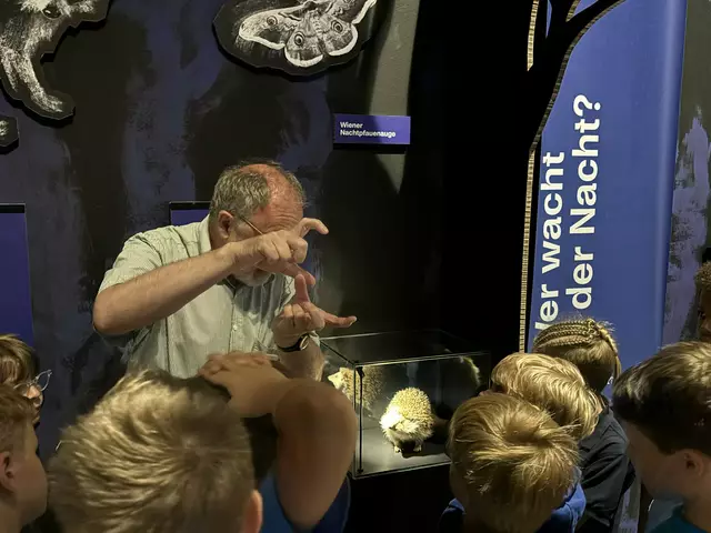 Foto: Caroline Fegerl