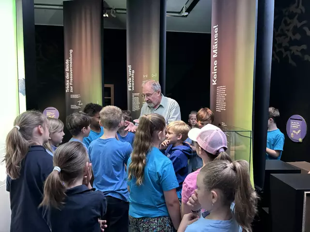 Foto: Caroline Fegerl