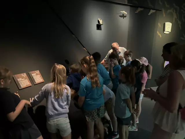 Foto: Caroline Fegerl