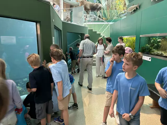 Foto: Caroline Fegerl