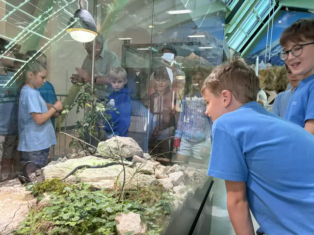 Foto: Caroline Fegerl