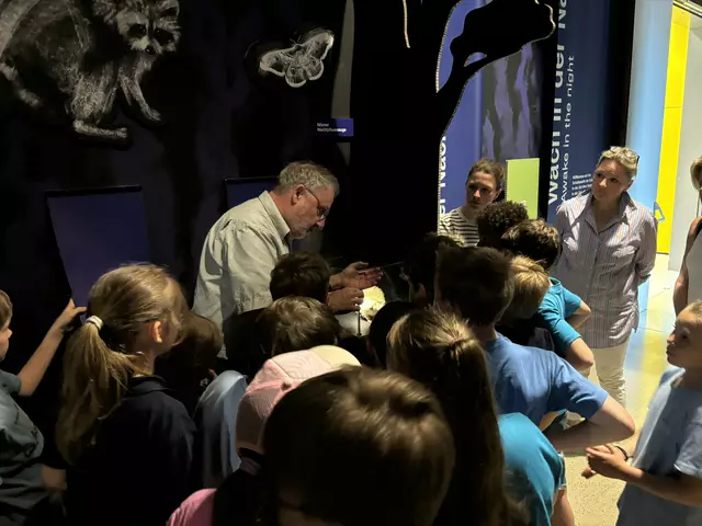 Foto: Caroline Fegerl