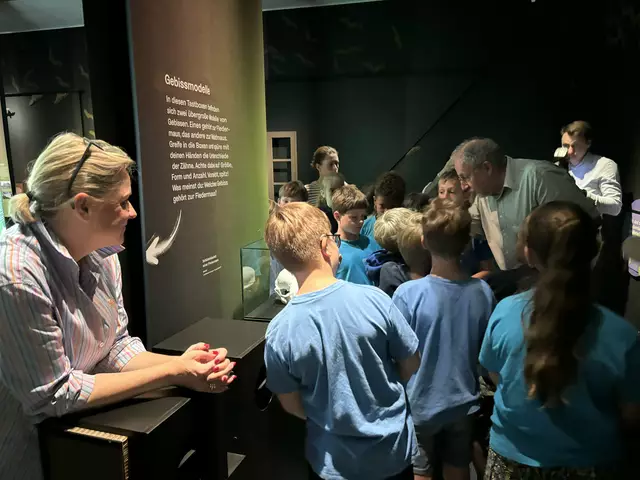 Foto: Caroline Fegerl