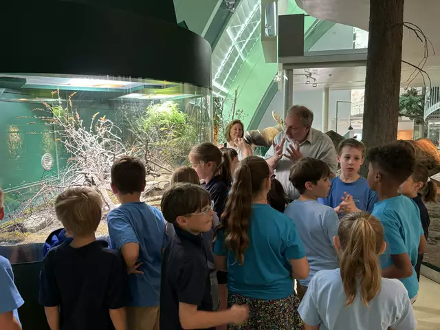 Foto: Caroline Fegerl