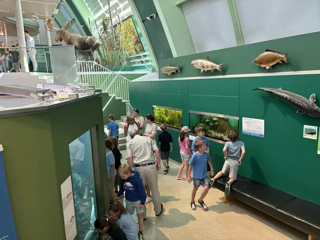 Foto: Caroline Fegerl