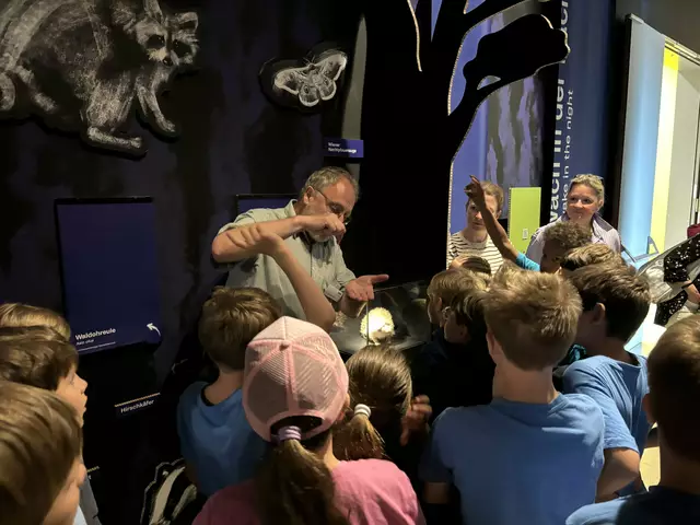 Foto: Caroline Fegerl