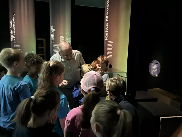 Foto: Caroline Fegerl