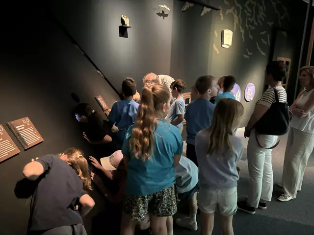 Foto: Caroline Fegerl