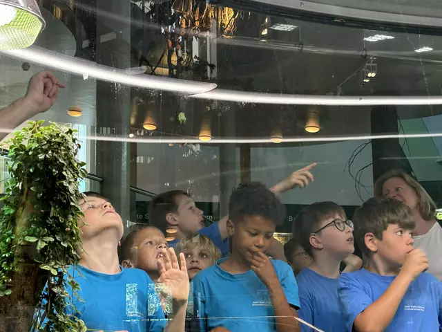 Foto: Caroline Fegerl