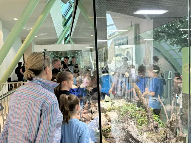 Foto: Caroline Fegerl