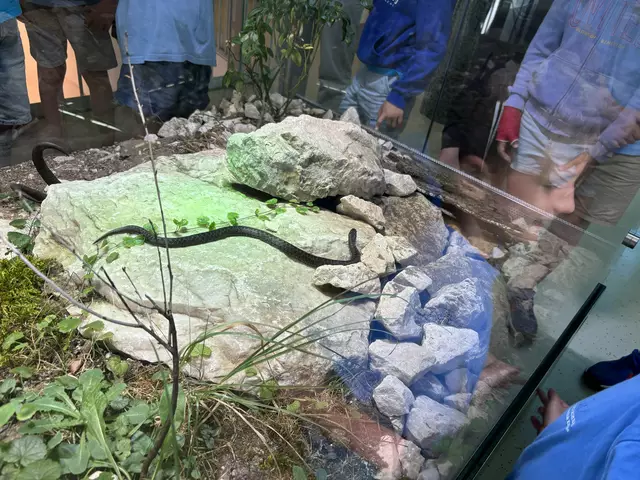 Foto: Caroline Fegerl