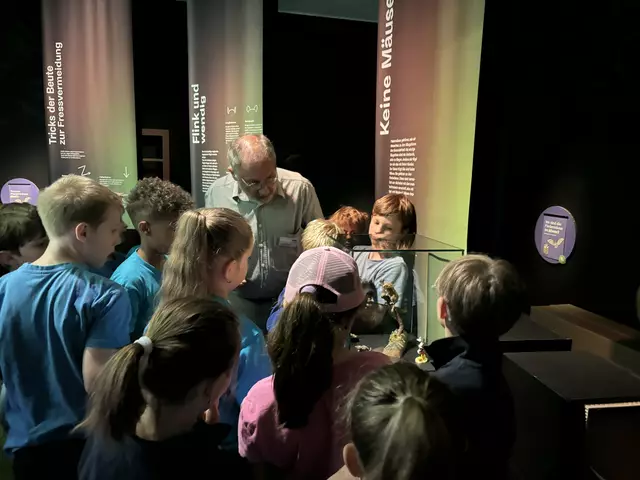 Foto: Caroline Fegerl