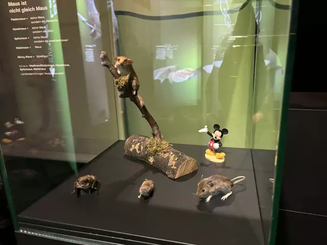 Foto: Caroline Fegerl