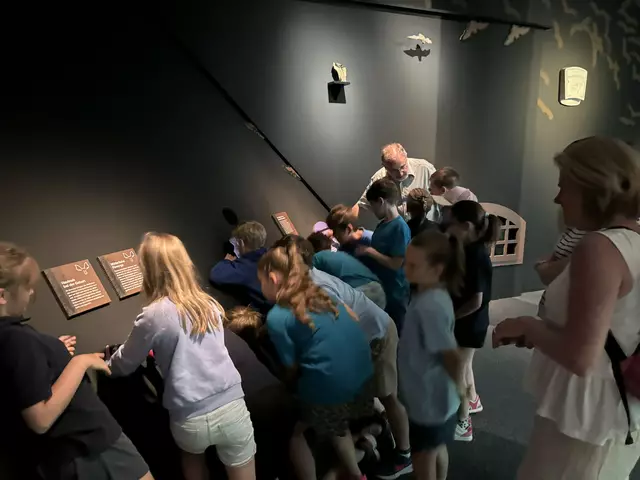 Foto: Caroline Fegerl