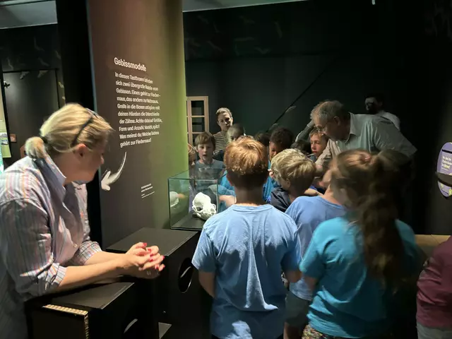 Foto: Caroline Fegerl