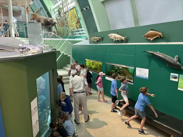 Foto: Caroline Fegerl