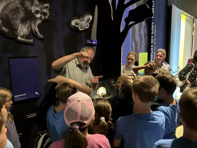 Foto: Caroline Fegerl