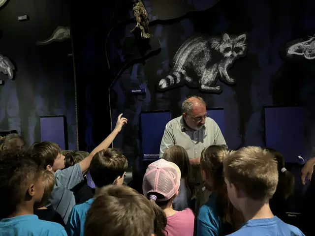 Foto: Caroline Fegerl