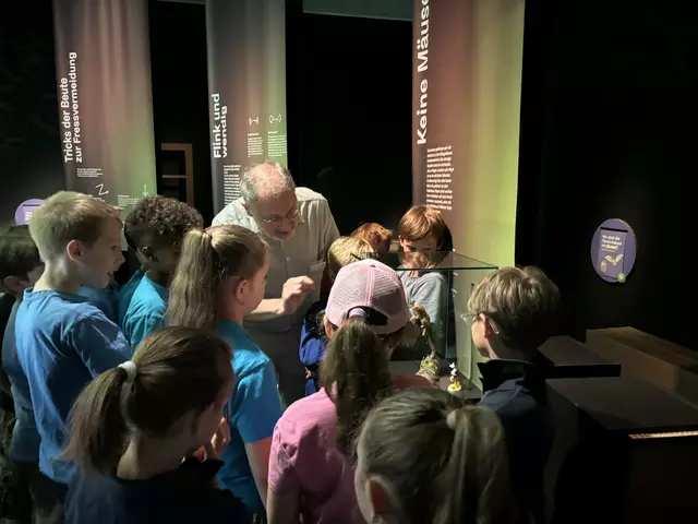 Foto: Caroline Fegerl