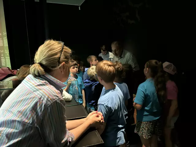 Foto: Caroline Fegerl