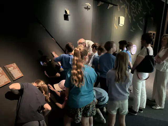 Foto: Caroline Fegerl