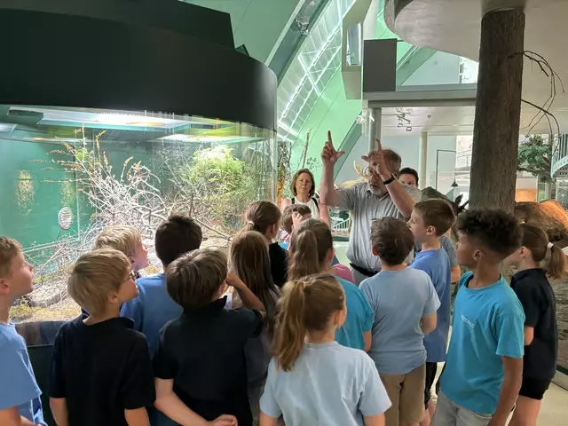 Bei der interaktiven Führung durch das Museum Niederösterreich erleben die Schülerinnen und Schüler hautnah, wie wichtig Amphibien für das Ökosystem sind. | Foto: Caroline Fegerl